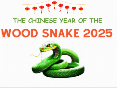 chinese year 2025
